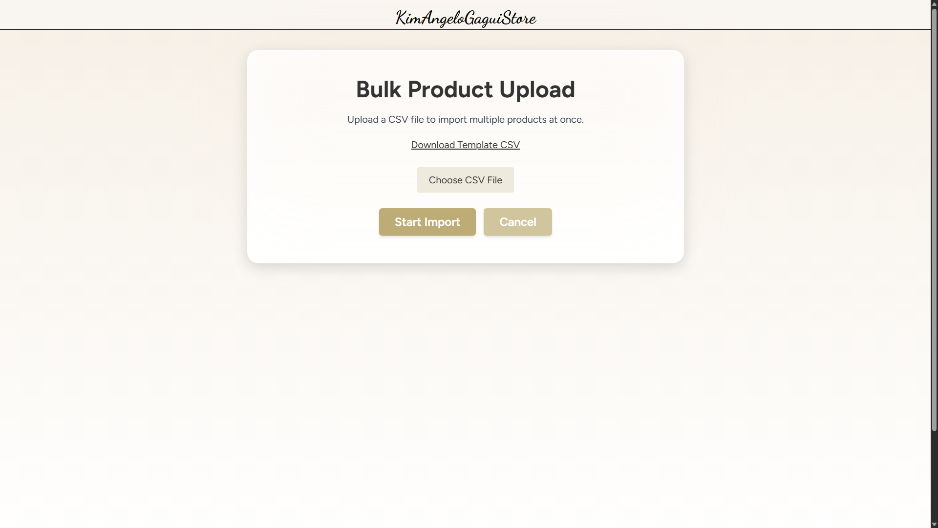 CSV Product Import System